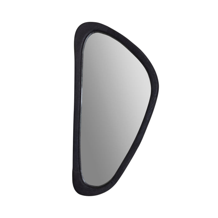 ARPI mirror L